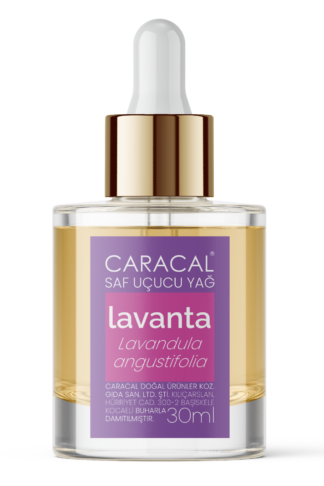 Caracal Lavanta Lavandula Angustifolia Ingiliz Lavantası Saf Uçucu Esansiyel Yağ