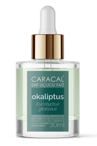 caracal okaliptus Eucalyptus globulus saf doğal esansiyet uçucu yağı essential oil cam damlalıklı