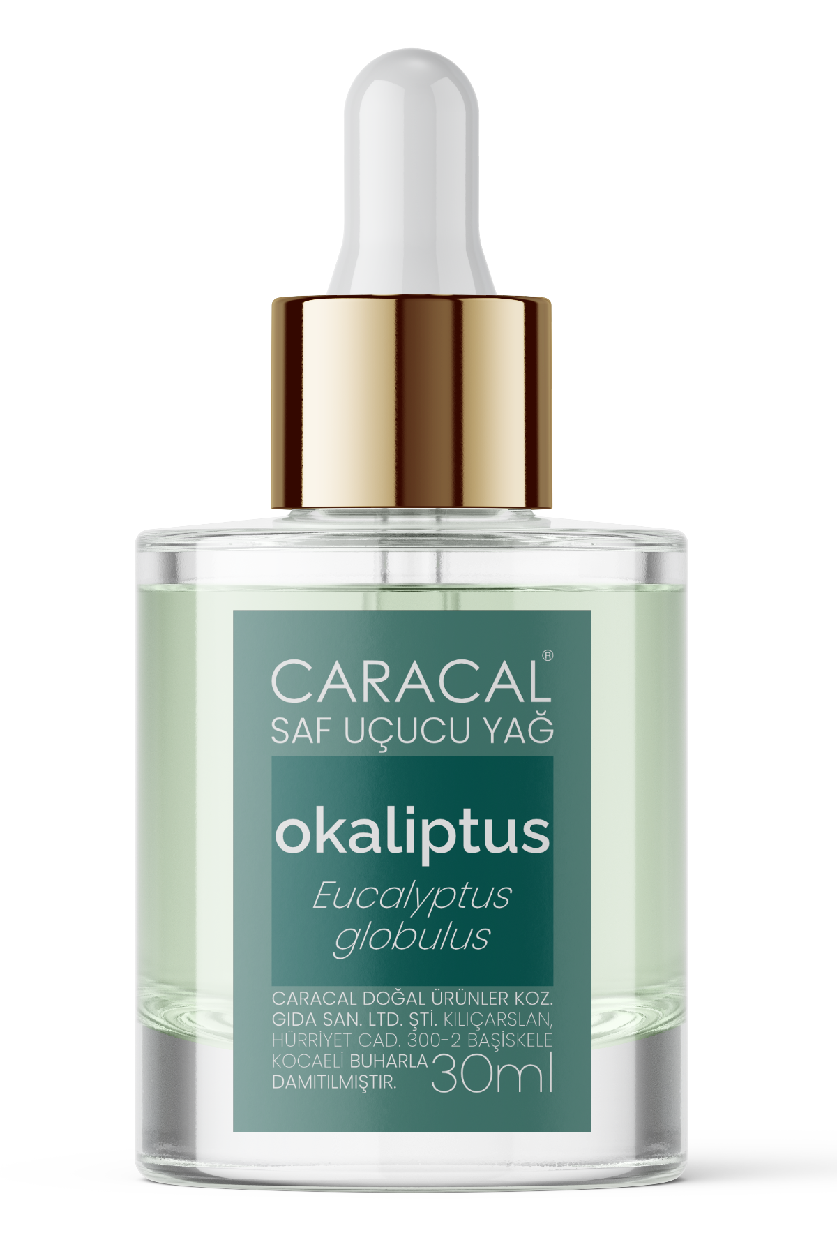 caracal okaliptus Eucalyptus globulus saf doğal uçucu esansiyel yağı caracal okaliptus Eucalyptus globulus saf doğal esansiyet uçucu yağı essential oil cam damlalıklı